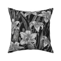 Robins and lilly flowers, black and white