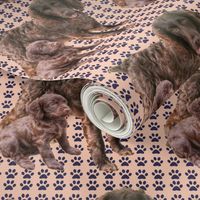 Boykin Spaniel Mother and pup fabric