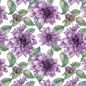 Purple Dahlias - trailing 