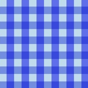 Gingham Check Small Scale