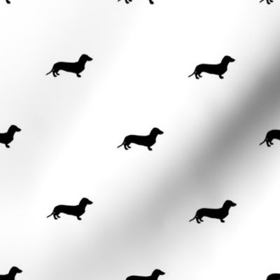 Dachshund Dots Black