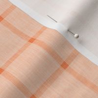 Simple Hand-drawn Plaid with Texture in Pantone Peach Fuzz