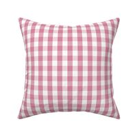 Small Soft Pink Gingham Check