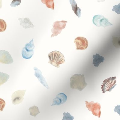 Watercolor Shells