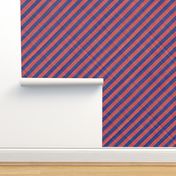 Diagonal Linen Stripe - Blue Red