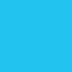 Solid Colour_Vivid Sky Blue