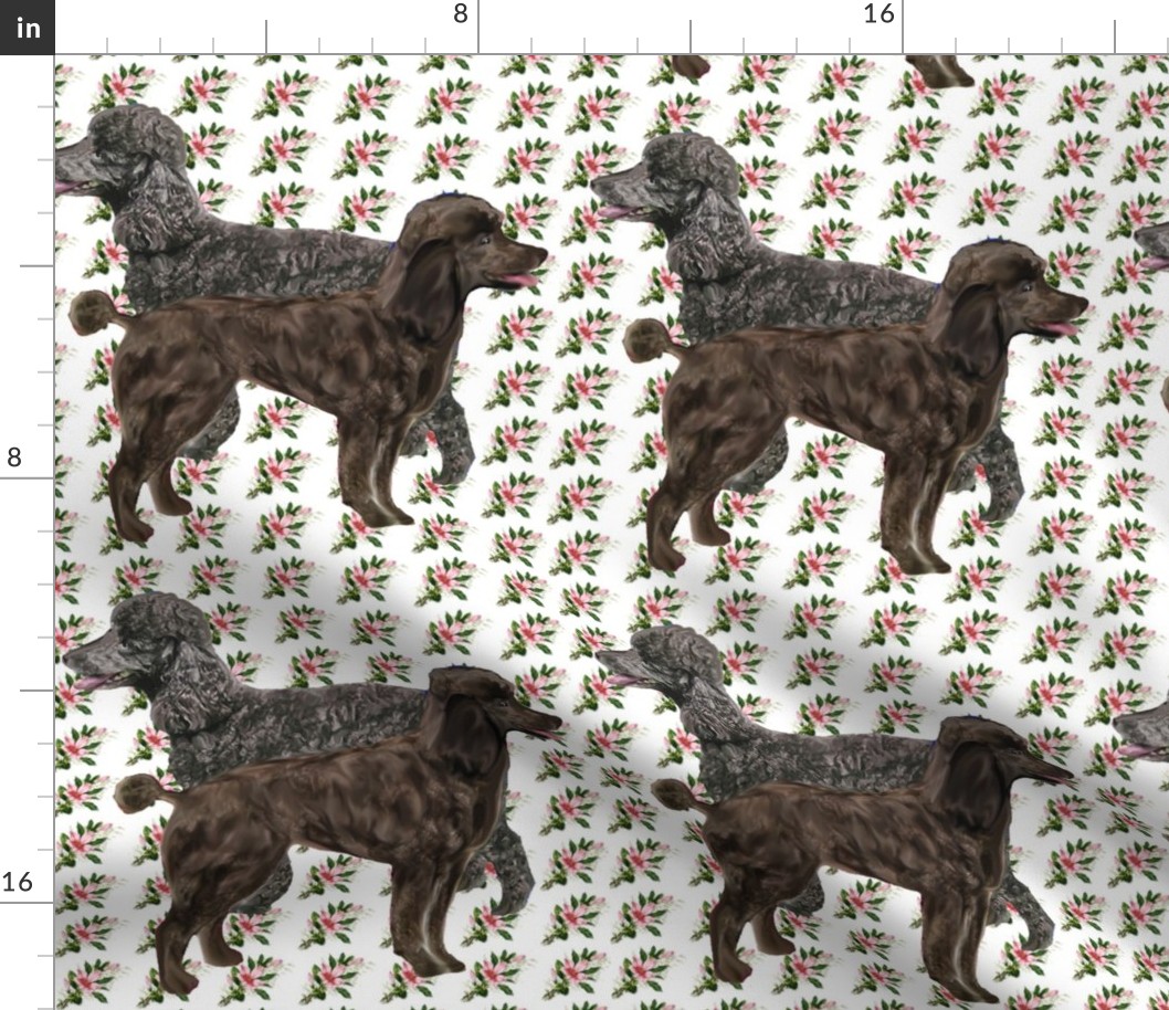 poodles on floral fabric