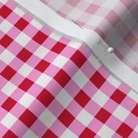 Cherry Red, White and Pink Gingham Check -Extra Small Scale -