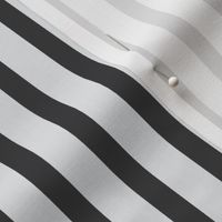 Stripes  Charcoal Grey Tones Hex Number #E6E7E8 #414042 Vertical Lines and Stripes