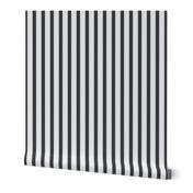 Stripes  Charcoal Grey Tones Hex Number #E6E7E8 #414042 Vertical Lines and Stripes