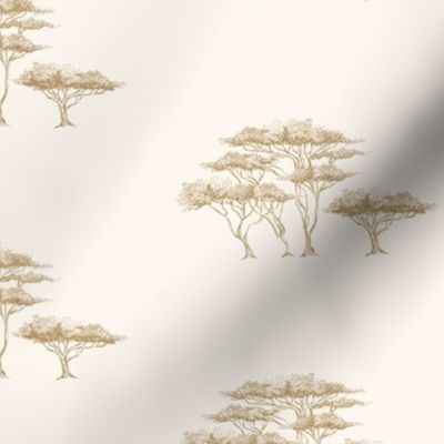 Acacia tree African Safari Savanna Brown