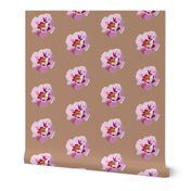 Pretty Floating Peonies - earth brown, medium