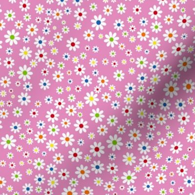 Daisy brights, pink, small scale