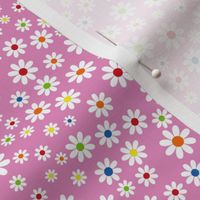 Daisy brights, pink, small scale