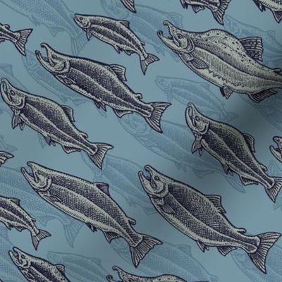 Salmon School - Blue