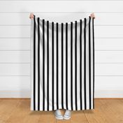 black and white awning stripes monochromatic classic