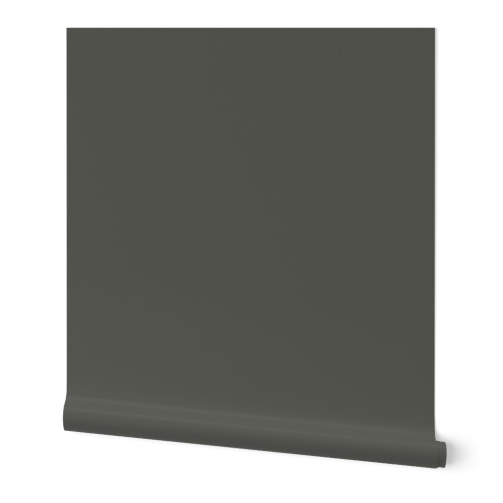 Solid shade from Benjamin Moore 2025 Paint Color Schemes- Ashwood Moss Gray