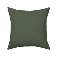 Moss Green -  Coordinating Solid Color Swatch - Hex Code #57624f