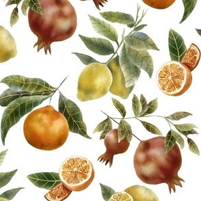 (Large) Mediterranean Fruits Including Lemons, Oranges and Pomegranate White Background 