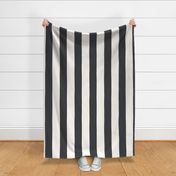 Carnival Stripe in Dark Slate and White (4 inch)