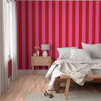 Carnival Stripe in Hot Pink and Red (4 inch)