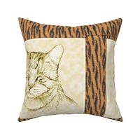 Tygr Tabby Cat Pillow