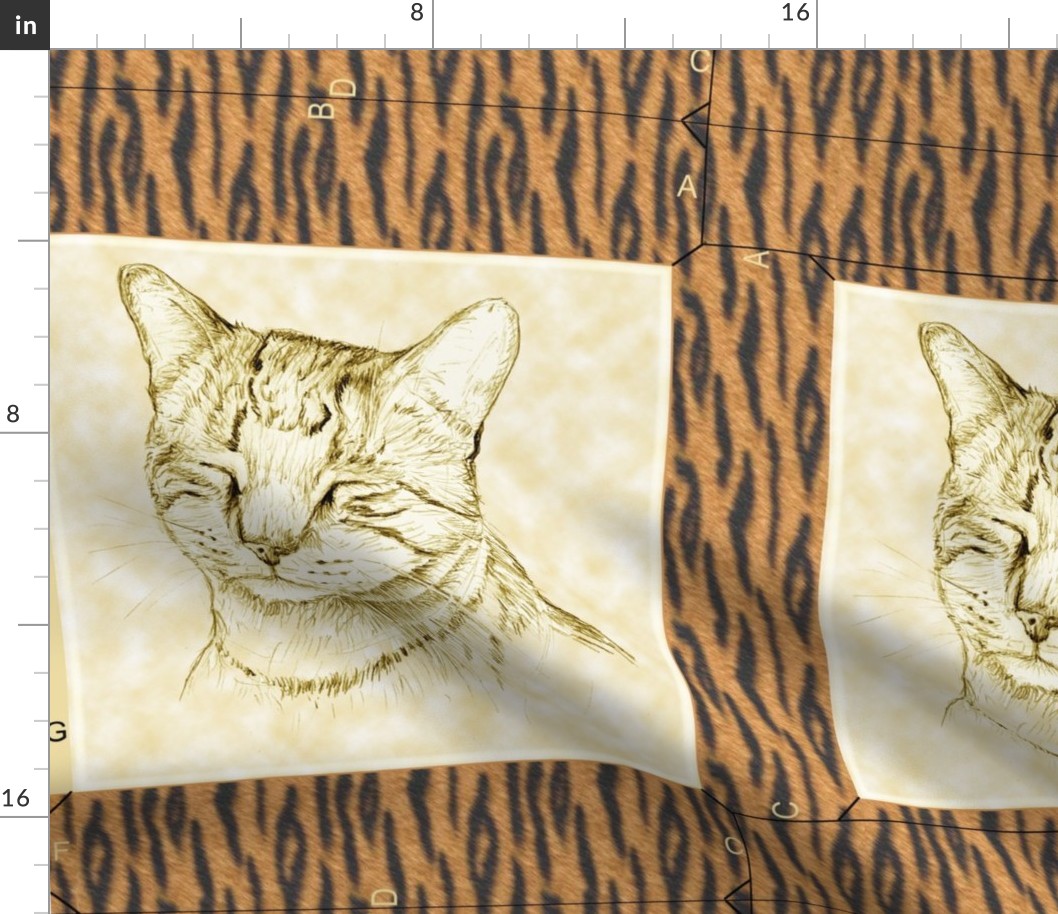 Tygr Tabby Cat Pillow