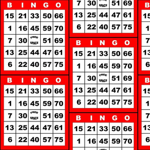 Bingo Red 1on