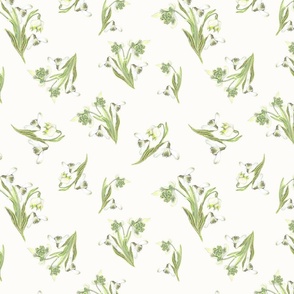 Snowdrop White Background