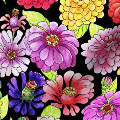 Zinnias.Black.background