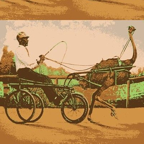Ostrich Rider version
