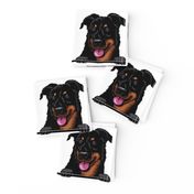 Beauceron Dog Breed Pet Lovers White