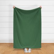 Winter Holiday Solid - Dark Green