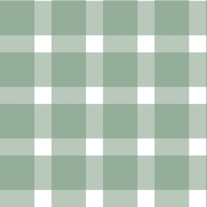 gingham check -sage and white - 3 inch