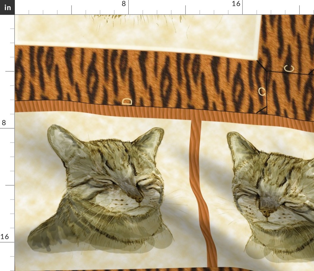 Tygr Tabby Cat pillow larger version