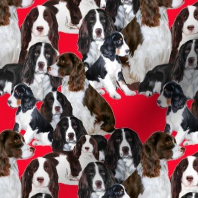 Springer Spaniel Mural fabric