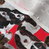 Springer Spaniel Mural fabric