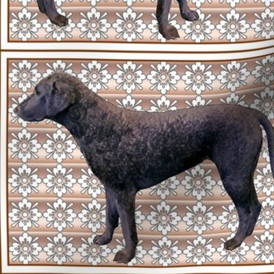 Curlycoated Retriever on brocade fabric