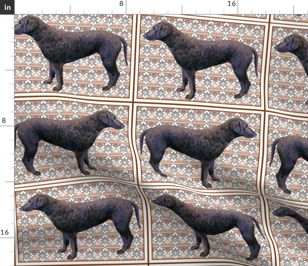 Curlycoated Retriever on brocade fabric
