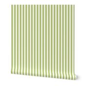 Small Cabana stripe - Fresh lime green and cream white - Candy stripe - Awning stripes - nautical - Striped wallpaper - resort coastal sunbrella tiki vertical