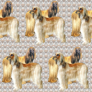 Afghan Hounds Fabric