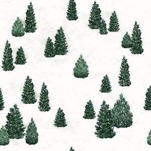 Pine Trees and Snow