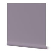 Hazy Lilac - Solid Violet With a Hint of Gray - Benjamin Moore 2116-40