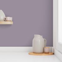 Hazy Lilac - Solid Violet With a Hint of Gray - Benjamin Moore 2116-40