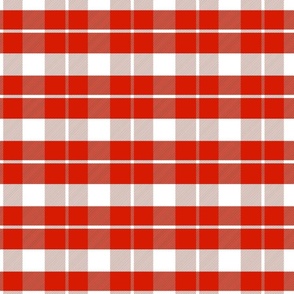 Plaid Twill_Red and White 