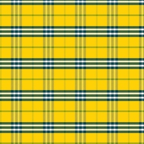 Plaid Twill_Sunny Blues