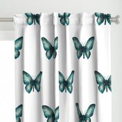 teal-butterfly - large