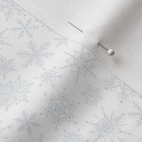 Snowflake Scatter/Winter Holiday - White Small