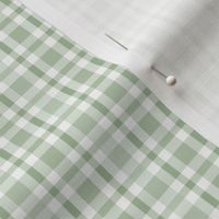 Maeve Plaid small: Chalky Green & White Summer Plaid