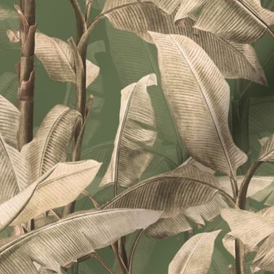 Rainforest Inspired Nostalgic Lush Luxurious Bold Banana Palm Tree Garden Forest: Nostalgic Vintage Home Decor and Wallpaper - Grand Millennial Jungle with Tropical Exotic Leaves  Sepia Sage Green